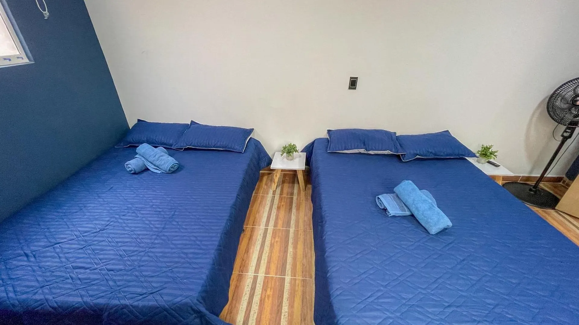 Casa Encanto, Apartamento - Habitaciones, Laureles-America Medellin Colombia